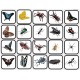 "Bugs & Butterflies" 2x2 Picture Flashcards